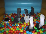 ball pool