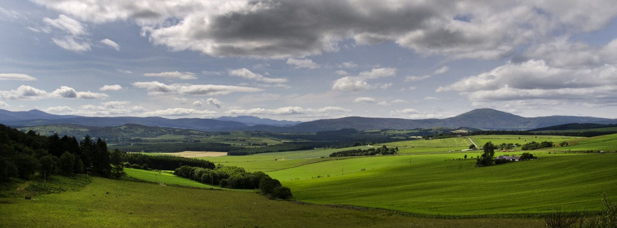 Valley with trees and a cloudy sky