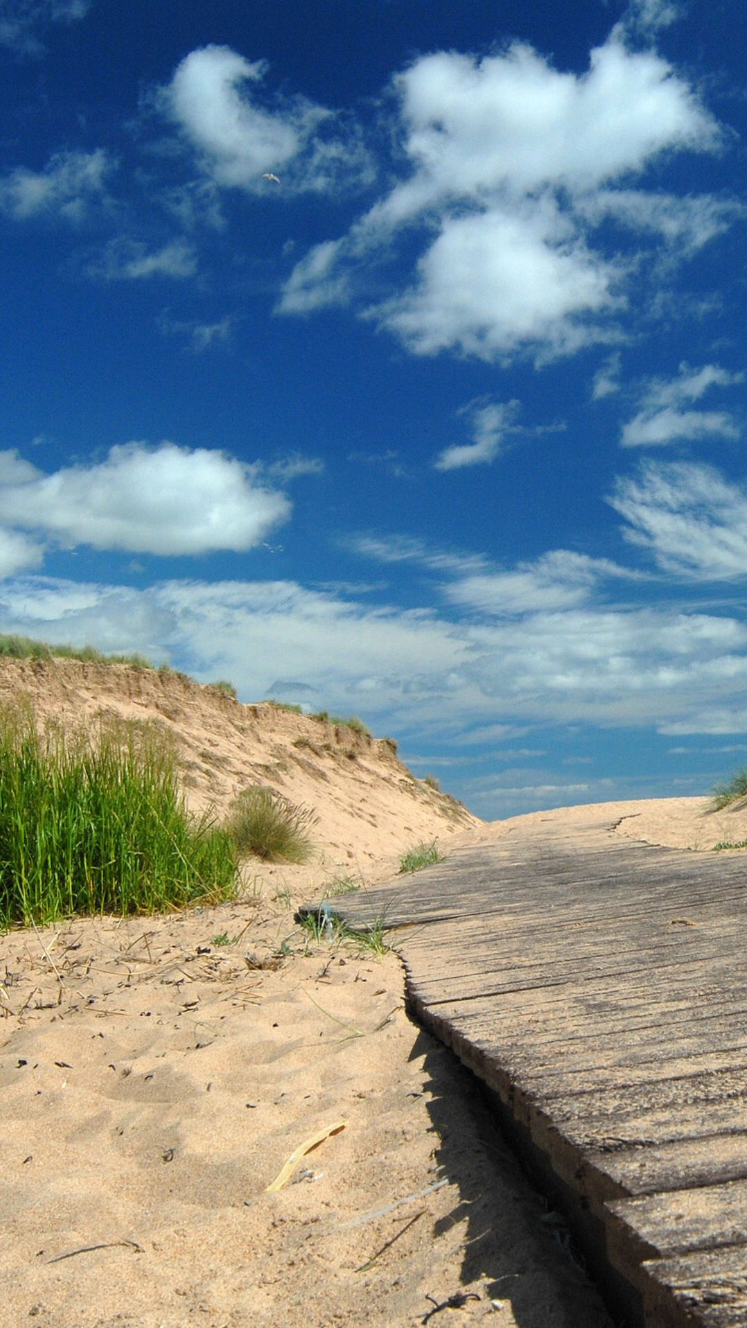 Balmedie beach