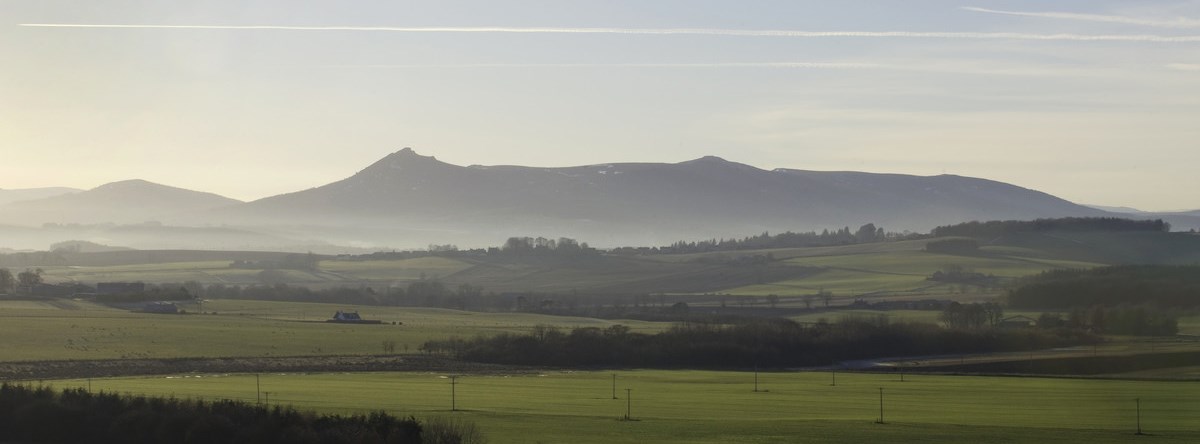 Foggy landscape