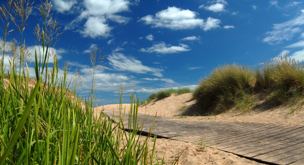 Boardwalk at Balmedie Beach