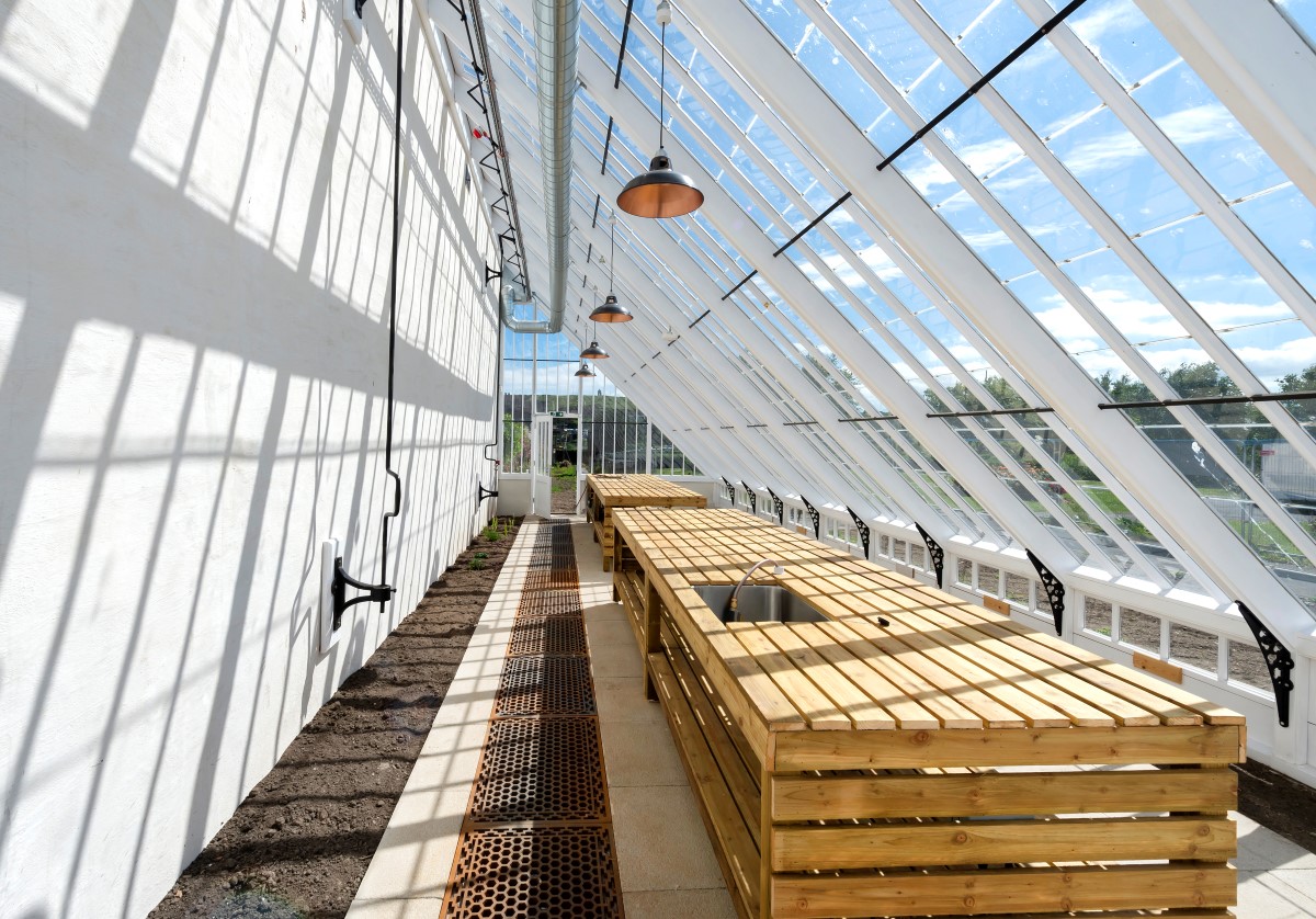 Inside a greenhouse with wooden worktop, and soil bed running along the wall on the ground