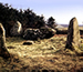 Aikey Brae Stone Circle