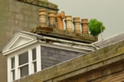 Historic Building Intervention Programme - vegetation growing on roof