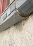 Historic Building Intervention Programme - leaking gutter