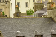 Historic Building Intervention Programme - vegetation growing on roof