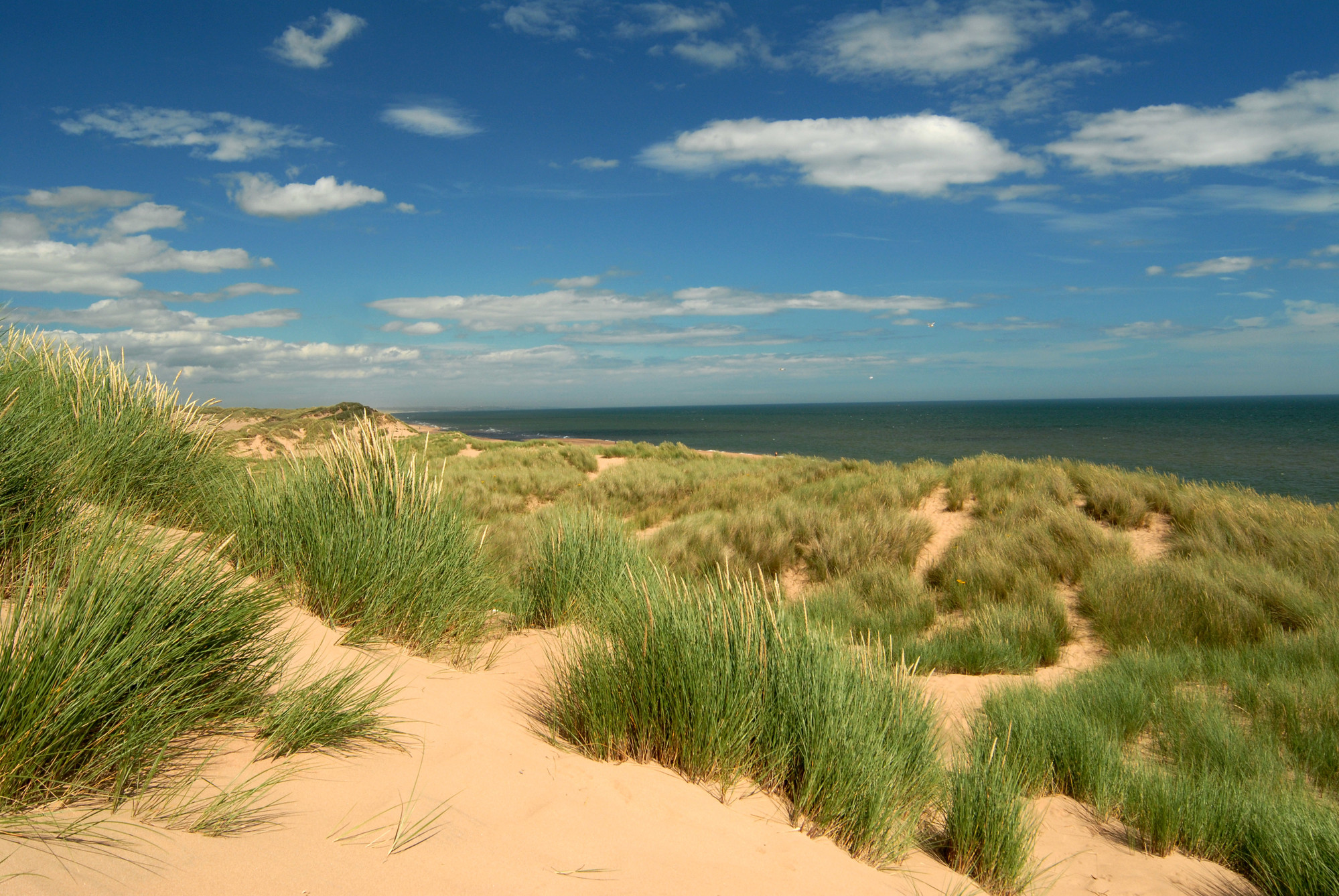 A picture of Balmedie beach and dunes on a sunny day looking out over the North Sea