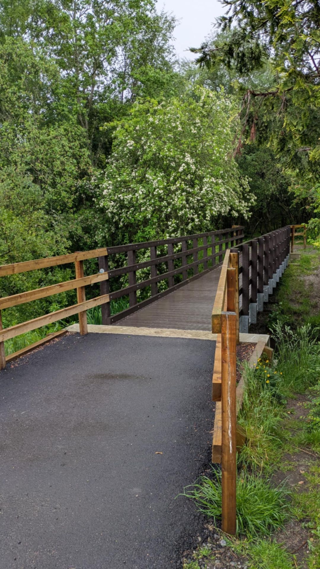 Denman Park