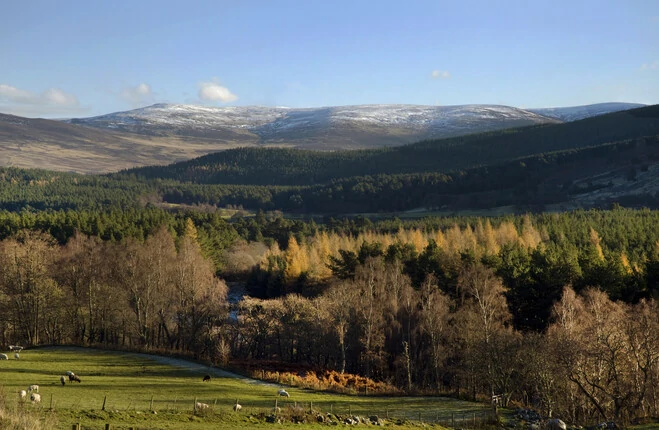 Scenic view of the Cairngorms National Park in Autumn