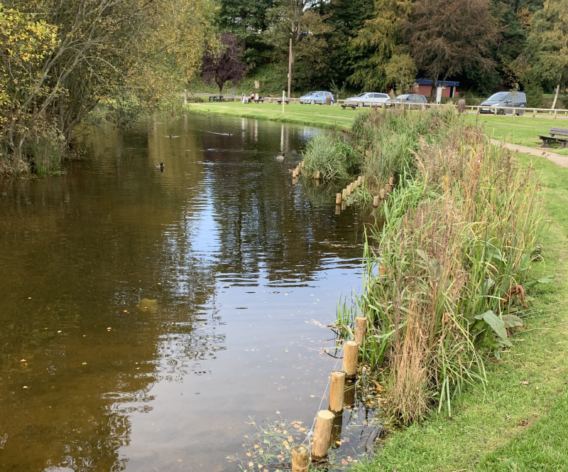 A picture of the Haughs country park in Turriff showing part of the lake with ducks, waterside reed beds and grassed areas. There are some parked cars in the background