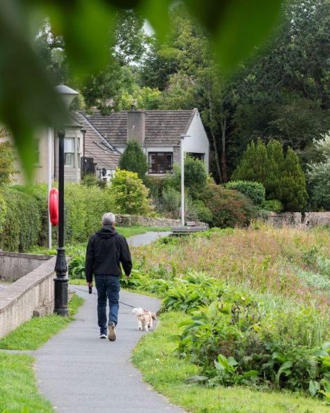 A man walking a dog along a path beside a river with houses and a wood in the background. 